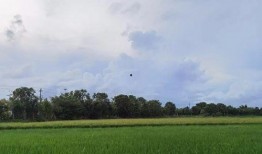 网红大瓜在哪找 社会十大潜规则,大瓜来源与社会潜规则大盘点